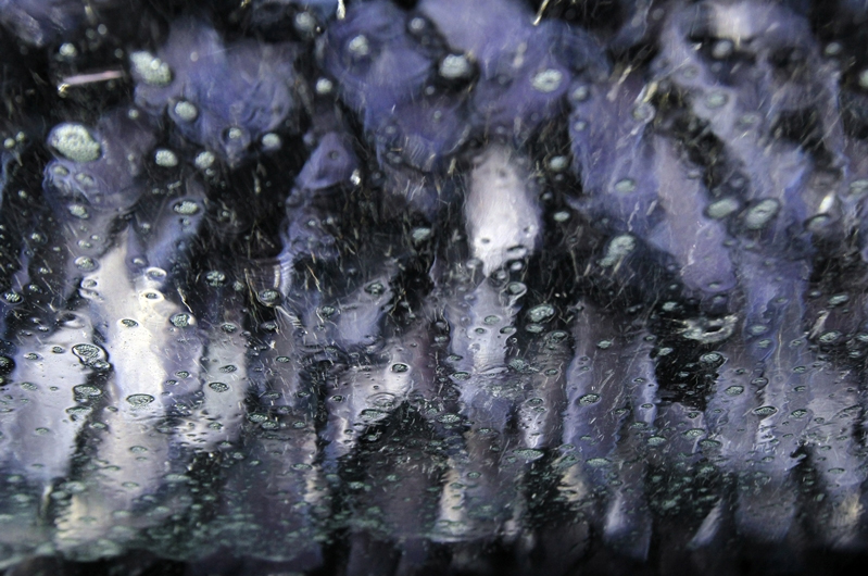 씻어주시옵소서