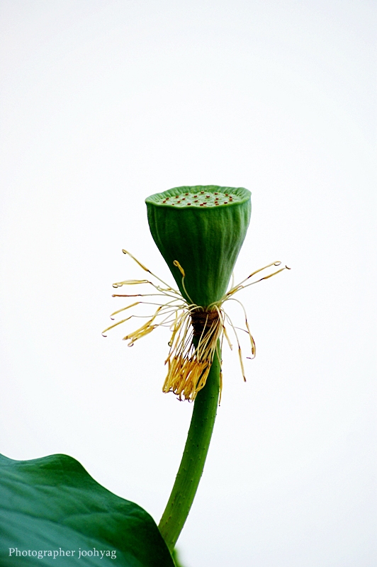 달려갈 길 마치고