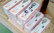 “폐허 속에서 피어나는 작은 희망”