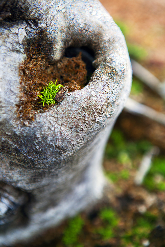 생명은 사랑에서