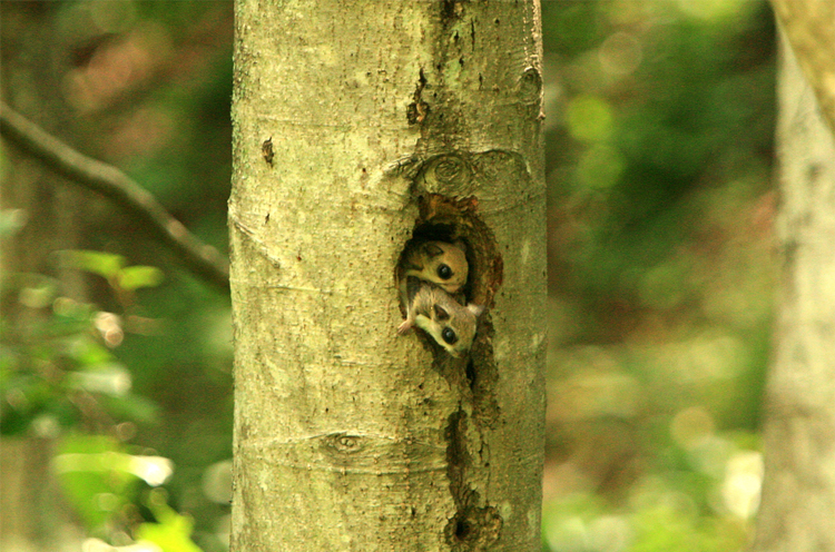 우리는 가족입니다