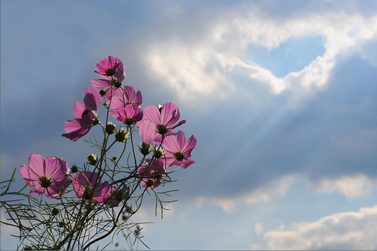 내가 너를 사랑하노라