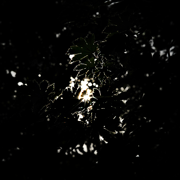 내게 비추는 빛