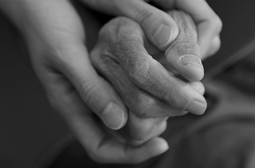 한국YWCA연합회, 밀양송전탑문제 사진전