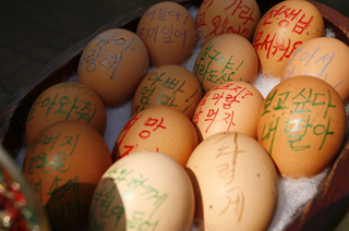 세월호 생존자 생환 희망 담은 부활절 계란