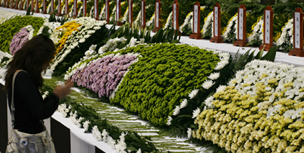 샬롬나비, 세월호 침몰…“한국사회 총체적 몰락 상징하는 사건”