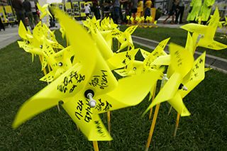 광화문 광장을 수놓은 바람개비