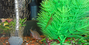 [이충범의 물에서(2)] 창조하신 하나님의 마음으로