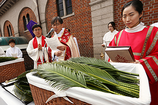 [포토] 주님 수난 종려주일