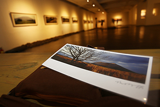 [포토] 김영갑 추모 10주기 사진전 ‘오름’