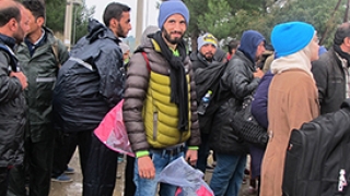 유럽 교회, 난민의 안전한 국경통과 허용 요청
