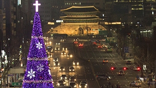 서울 광장 환히 밝힌 성탄트리