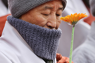 [포토] 꽃든 도법 스님, 평화 기원하며 묵상