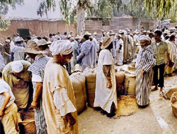 모로코, 외국인 기독교인들 추방 
