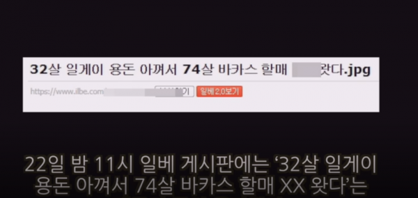 일베 할머니 조롱