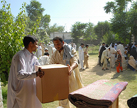 생존에 필요한 최소한의 것 