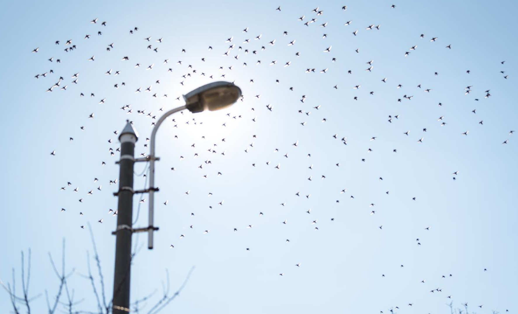 
Warning: addcslashes() expects exactly 2 parameters, 1 given in /home/hosting_users/veritasnews/www/views/main/inner2023/headline_left_2news.php on line 6
